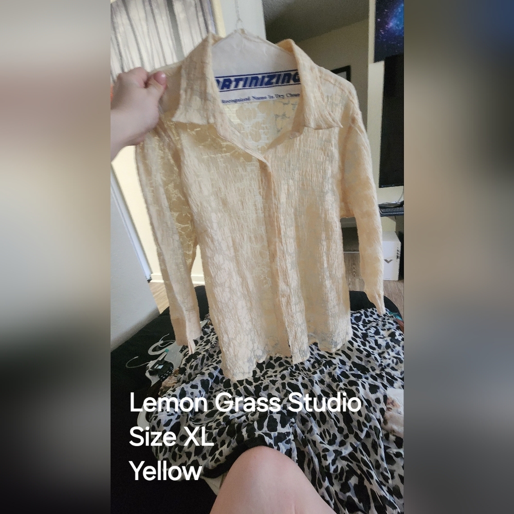 XL Sheer blouse